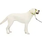 PetSafe Gentle Leader Headcollar Quick Release Apple / Large