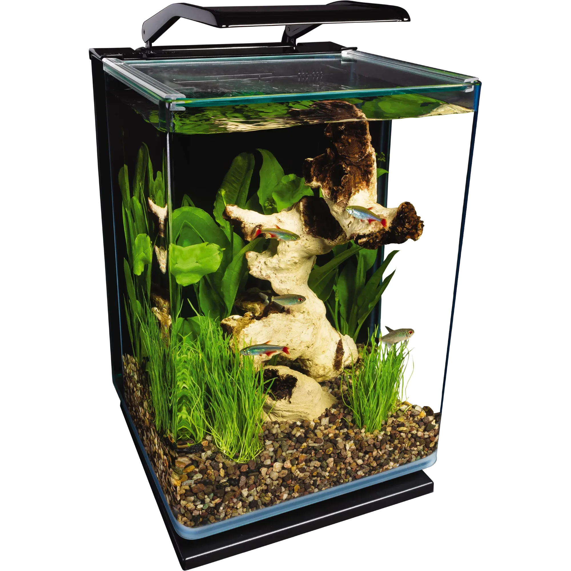 Marineland Portrait Glass LED aquarium Kit, 5 Gallons, Hidden Filtration