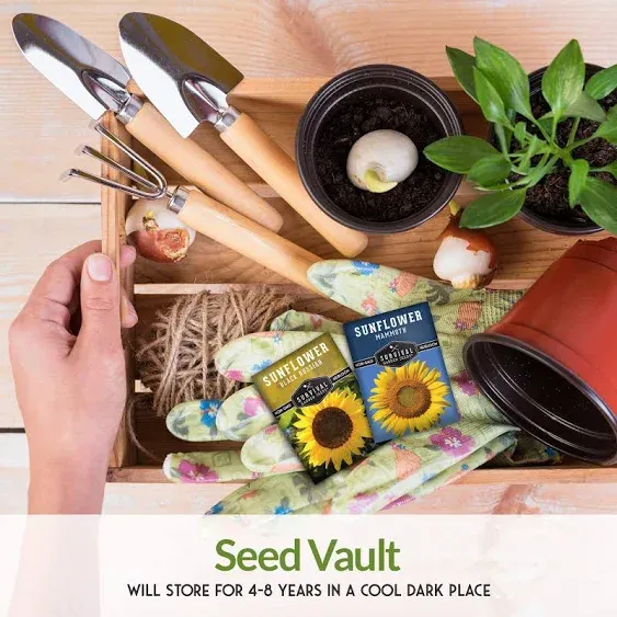 Survival Garden Seeds Edible Sunflower Seed Vault - Gigantic Flowers with Delicious Seeds - Mammoth Sunflower & Oil-Rich Black Russian Sunflower Seeds - Non-GMO Heirloom Seeds for Planting & Growing