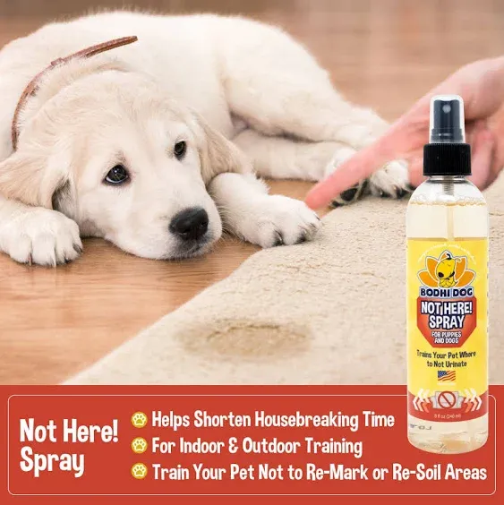 Bodhi Dog Not Here! Spray | Trains Your Pet Where Not to Urinate | Tra