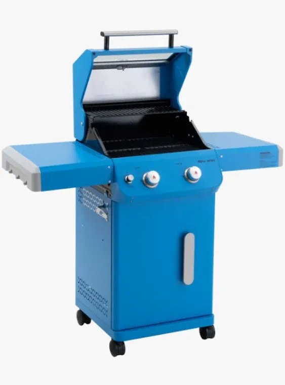 Mesa 200 | Matte Color Propane Gas Grill