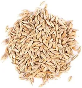 Thunder Acres Barley Seed - Certified Organic - Non-GMO (1 lb)