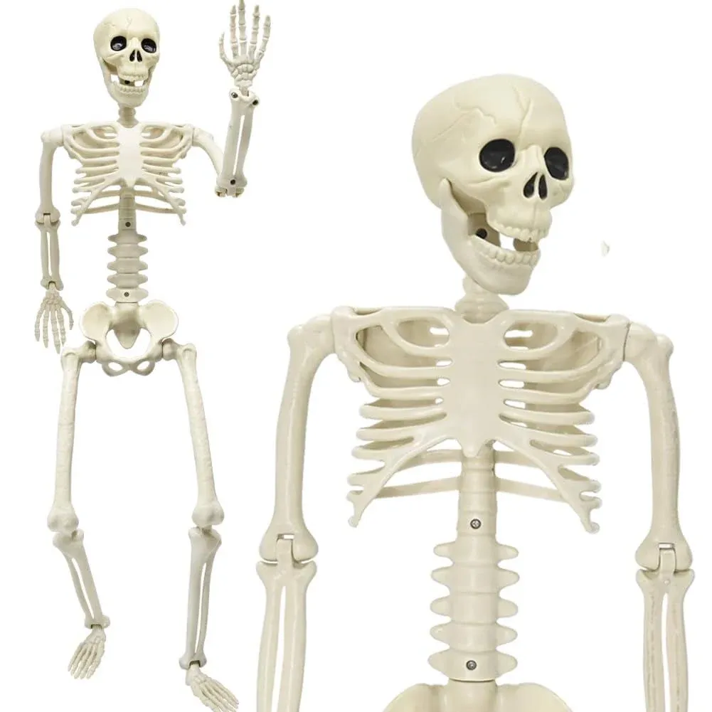 36" Skeleton Halloween Decorations, 3FT Realistic Full Body Movable Posable Joints Skeleton, Creepy Halloween Plastic Skeleton for Graveyard Decorations, Haunted House Props Indoor/Outdoor Decor