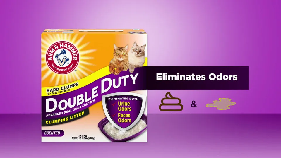 Arm Hammer Double Duty Clumping Litter