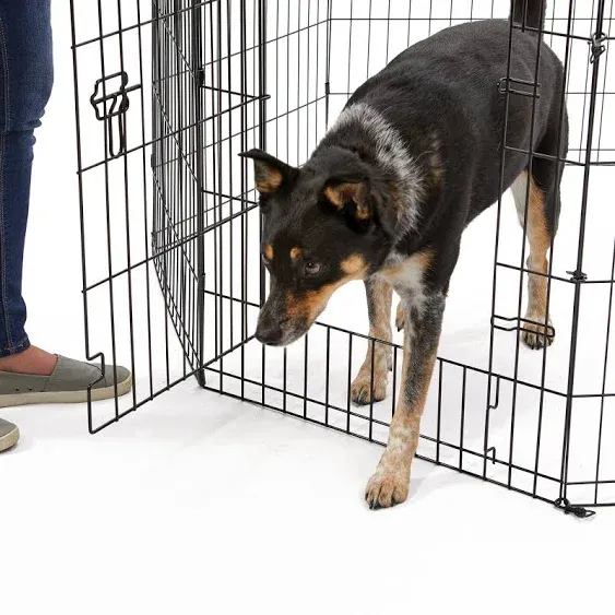 Midwest Contour Exercise Pen with Door for Dogs, Black, 36-in