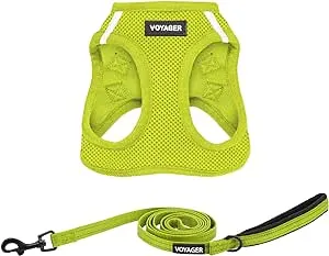 Voyager Step-in Air All Weather Mesh Harness and Reflective Dog 5 ft Leash Combo with Neoprene Handle, for Small, Medium and Large Breed Puppies by Best Pet Supplies - Set (Lime Green), S