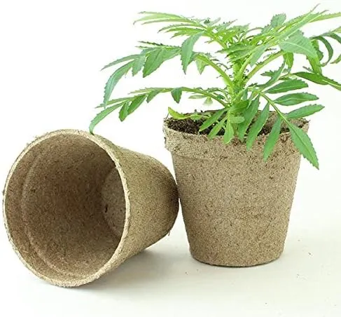 Jiffy 3" Round Peat Pots - OMRI Listed Organic - 100ct- Seed Starting - Propogating