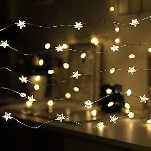 Shimmer Forest Twinkle Star String Lights 40 LED Spring Garden Decorative Indoor Outdoor Fairy Light USB & Battery Operated Lights 13ft Waterproof Lights with Remote