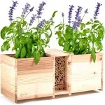 Rivajam DIY Mason Bee House Wood Planter Box Kit | Mason Bee Tubes Phragmite Bee Reeds | Pollinator House & Wooden Planter Box Combo | Leafcutter &