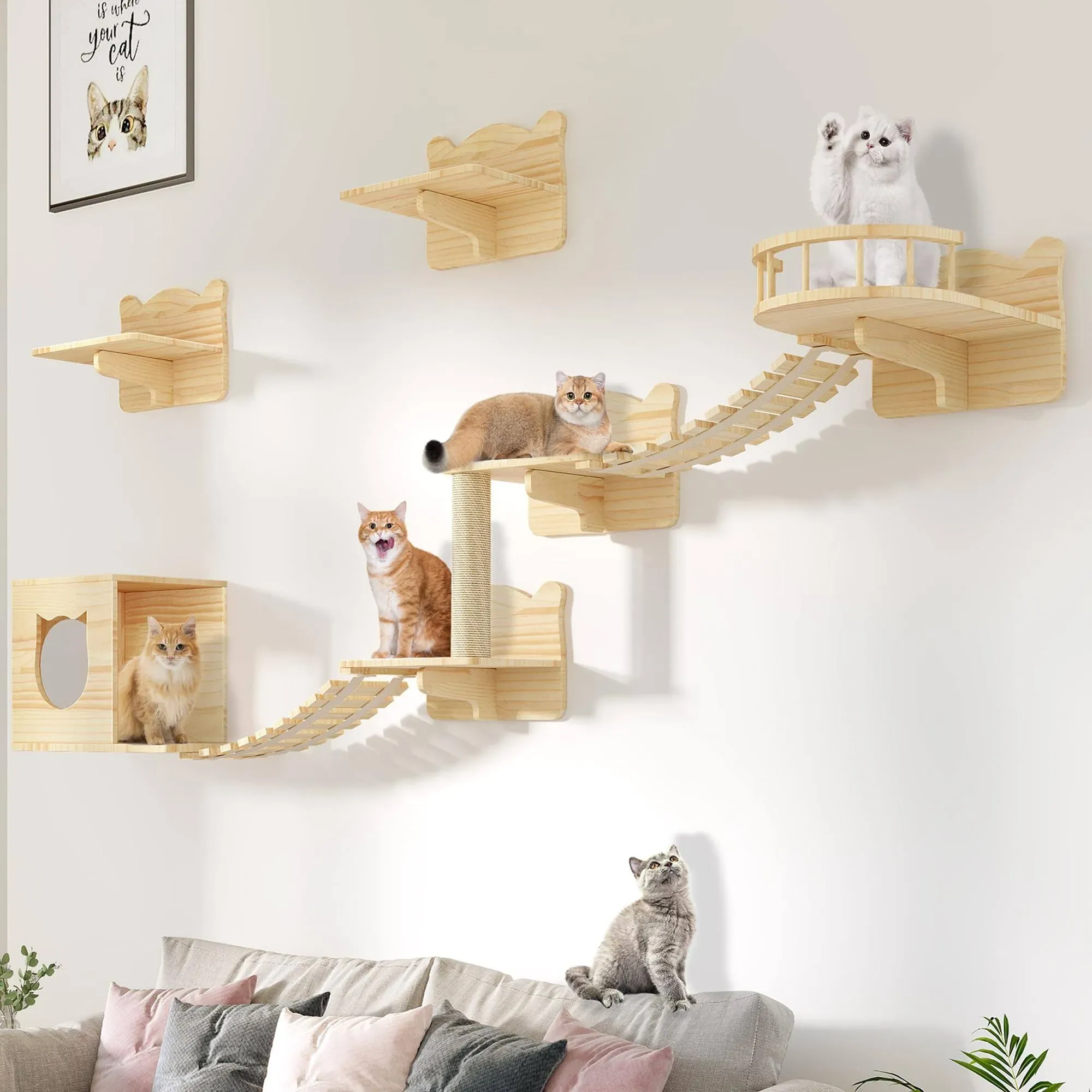 DWVO Cat Wall Shelves and Perches