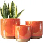 Indoor Plant Pots for Plants