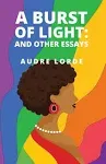 A Burst of Light: And Other Essays