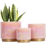 Gepege Pink Indoor Plant Pots for Plants, Ceramic Planter with Drainage Hole, 6.0 inch+5.0 Inch+4.0 inch. Succulent Orchid Flowe