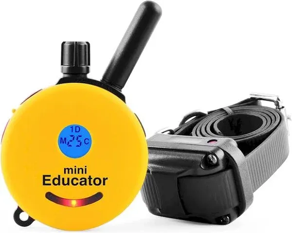 Mini Educator Remote Dog Trainer ET-300 E-Collar