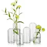 Hewory Glass Clear Modern Vase Set of 6 - Small Bud Vases for Flowers Elegant...