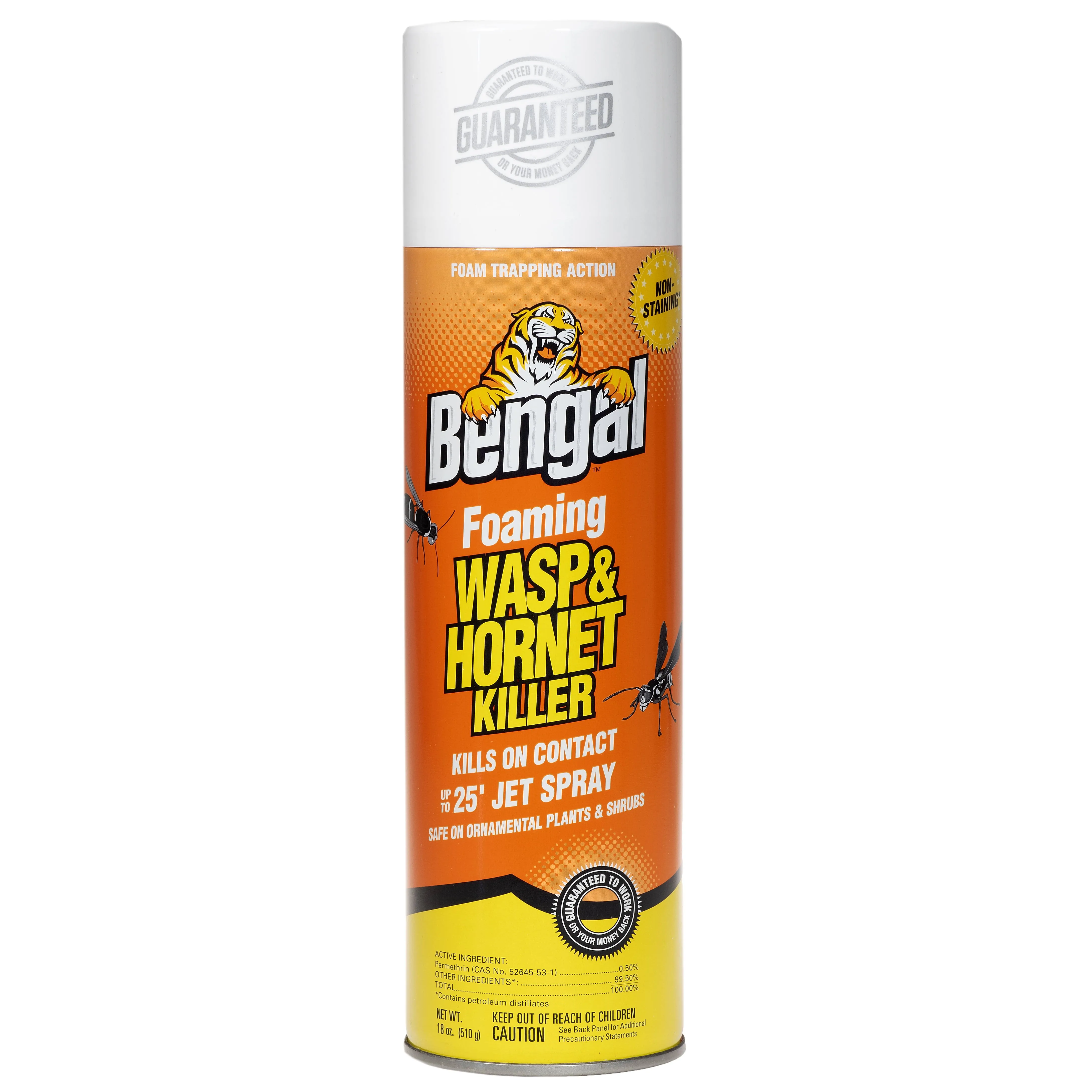 Bengal Wasp & Hornet Killer, Foaming - 18 oz