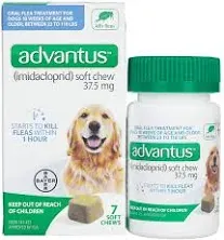 Bayer Advantus Large Dogs' Oral Flea Treatment, Soft Chews - 7 count