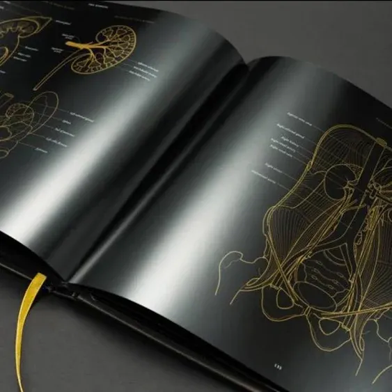 Anatomy in Black [Book]