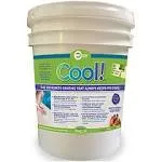 Encore Coating ECK-1 Cool Pool Deck Coating