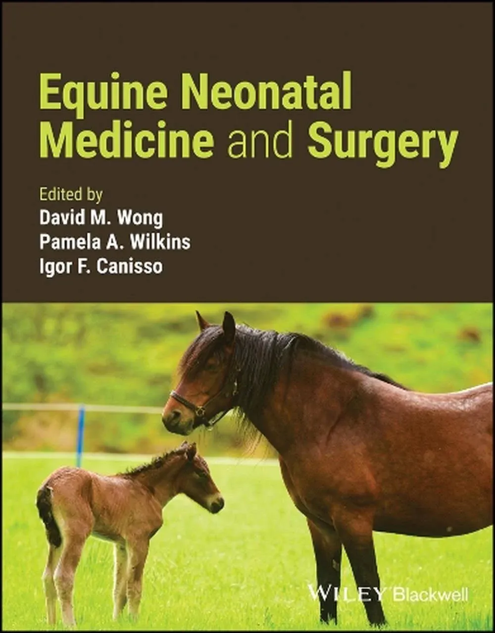 Equine Neonatal Medicine [Book]