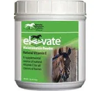 Elevate Maintenance Powder, 2 lb