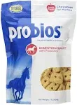 Probios Digestion Support Horse Treats (1 lb)