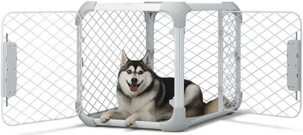 Diggs Medium Evolv Dog Crate - Ash