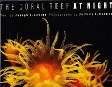 The Coral Reef at Night