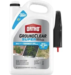 Ortho GroundClear Super Weed & Grass Killer