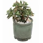 Premium Succulent Planter Cache Pot, Ceramic with Decorative Patina Glaze, Kitchen, Living Room, and Home Decor, Display Plants, Cactus, or Flowers