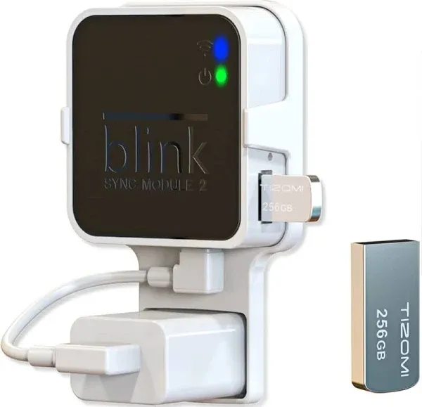 Blink 256GB USB Flash Drive