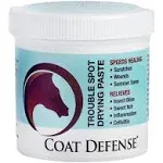 Coat Defense Trouble Spot Drying Paste - 24 oz