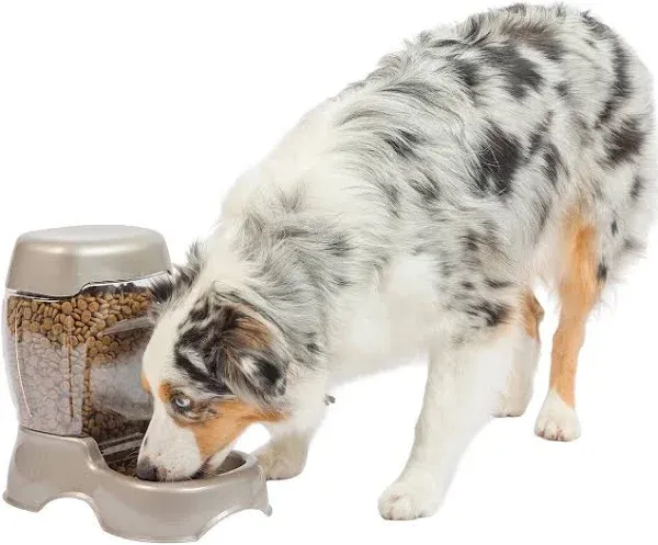 Petmate Cafe Pet Feeder