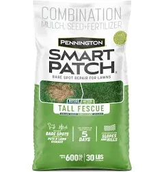 Pennington Smart Patch Tall Fescue Grass Sun or Shade Seed/Fertilizer/Mulch Repair Kit 10 lb