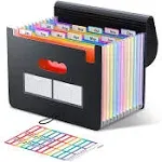 ThinkTex Accordian File Organizer, 12 Pockets Expanding File Folders, Portable Monthly Bill Receipt Organizer, Colorful Tabs, Letter/A4 Size for