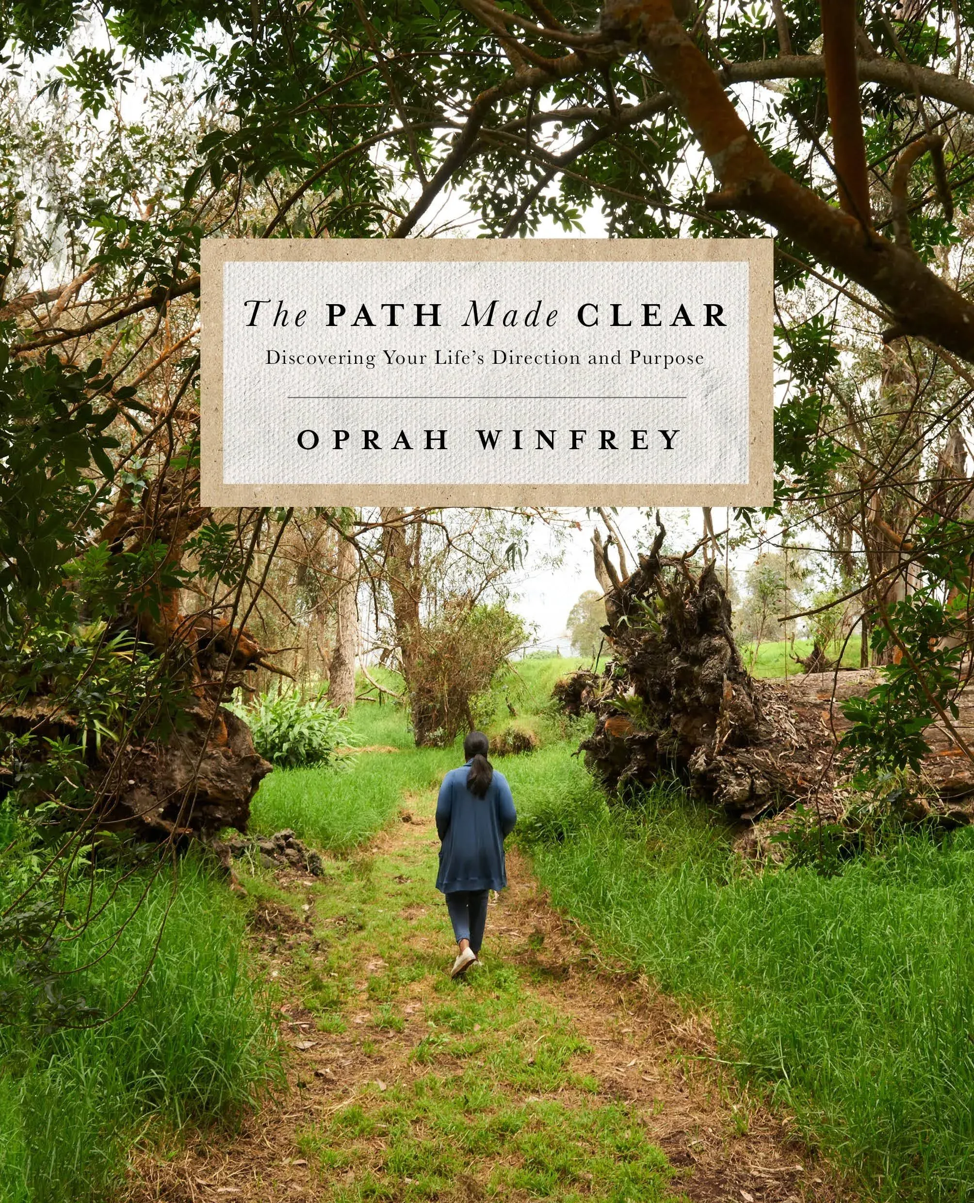 The Path Made Clear: Discovering Your Life's Direction and Purpose [Book]