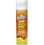 Bengal Wasp & Hornet Killer, Foaming - 18 oz