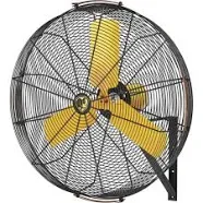 Big Ass Fans AirEye 30" Wall Mount Fan