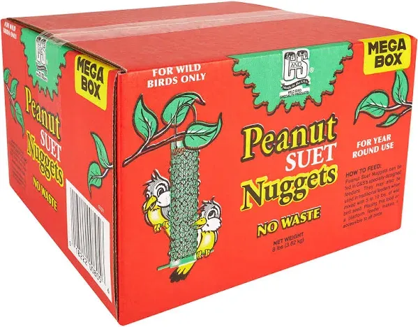 C&amp;S Wild Bird Peanut Suet Nuggets Mega Box, 8 Pounds 8 Pound (Pack of 1) 