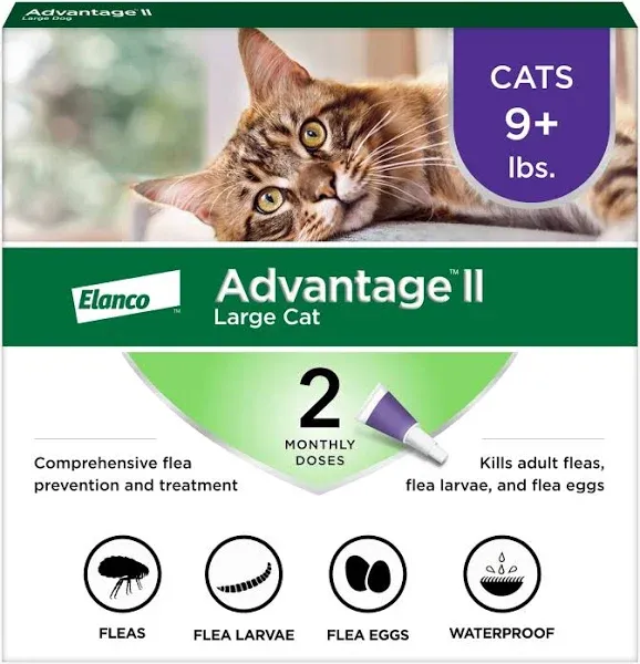 Elanco Advantage ll Flea Prevention &amp; Treatment for Large Cats - Pack of 2