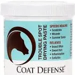 Coat Defense Trouble Spot Drying Paste - 24 oz