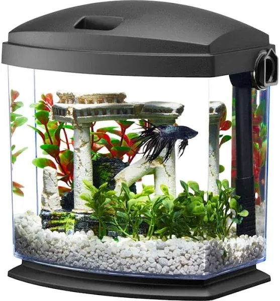 Aqueon BettaBow with Quick Clean Technology Aquarium Kit, Black 1 Gallon