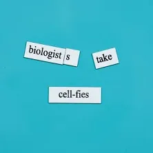 Biology Word Magnets