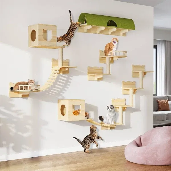 DWVO Cat Wall Shelves and Perches for Wall, Pine Wooden Wall Mounted Cat Furn...