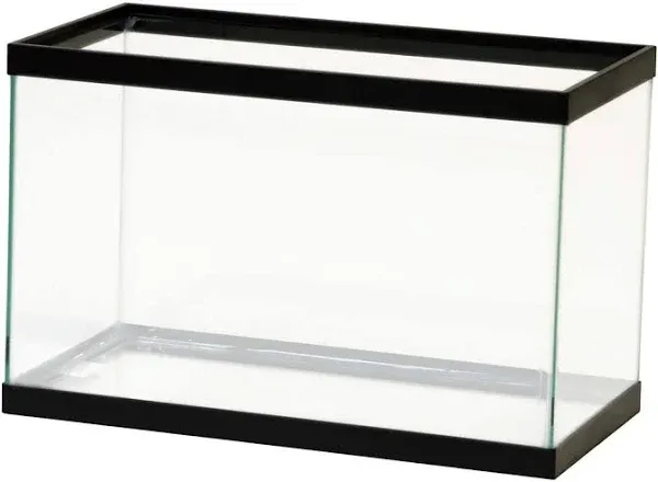 Aqueon Standard Glass Rectangle Aquarium Clear Silicone Black - 5.5 Gallon