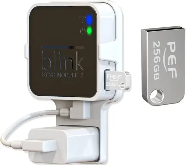 Blink 256GB USB Flash Drive