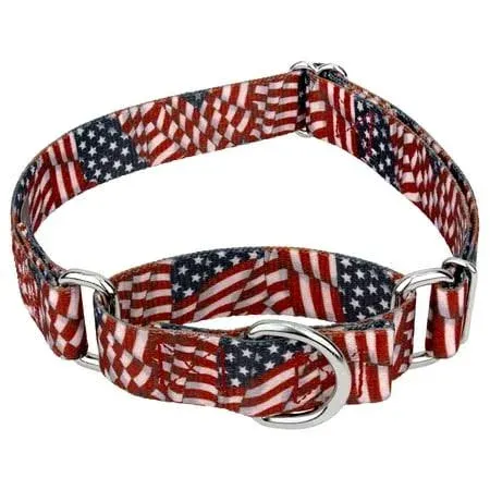 Country Brook Petz Patriotic Tribute Martingale Dog Collar, Extra Large, Size: XL ...