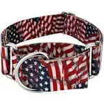 Country Brook Petz 1 1/2 inch Patriotic Tribute Martingale Dog Collar (Large)