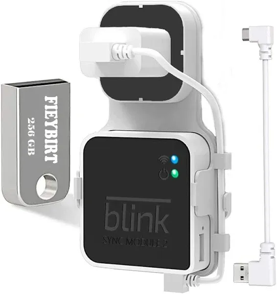 256GB Blink USB Flash Drive for Local Video Storage with the Blink Sync Module 2