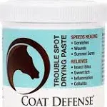 Coat Defense Trouble Spot Drying Paste - 10 oz